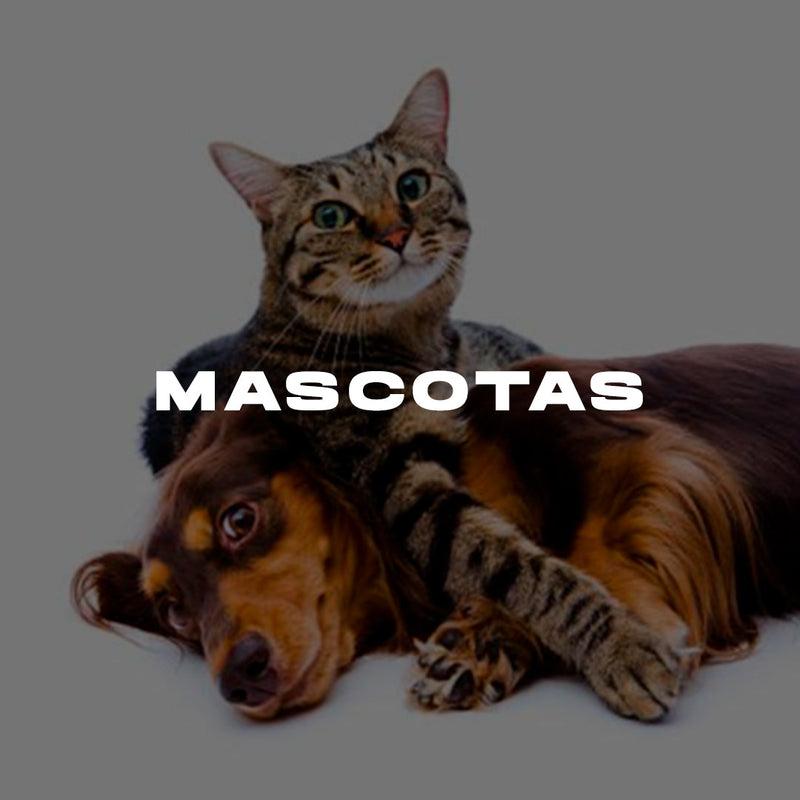 Mascotas