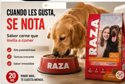 Alimento para Perros Adultos sabor Carne 20 Kg RAZA